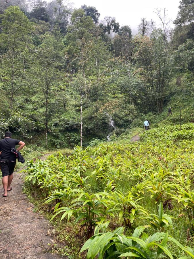 Khimsha Homestay Pelling Dış mekan fotoğraf