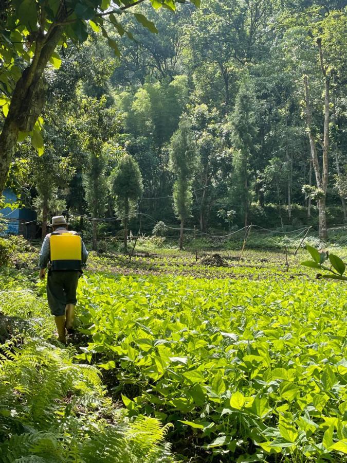 Khimsha Homestay Pelling Dış mekan fotoğraf