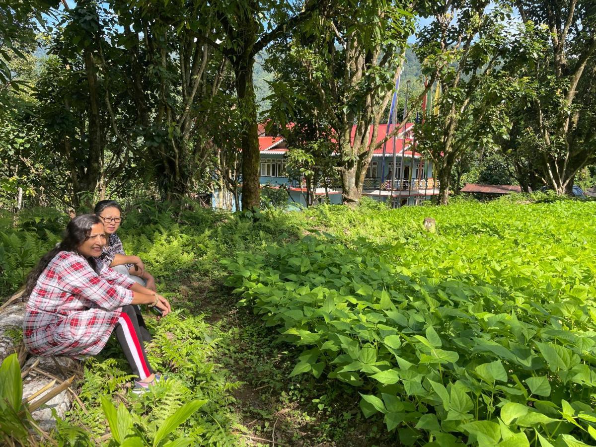 Khimsha Homestay Pelling Dış mekan fotoğraf